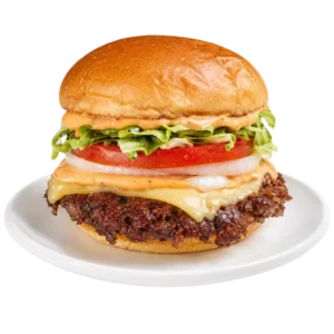 VEGETARIAN BURGER